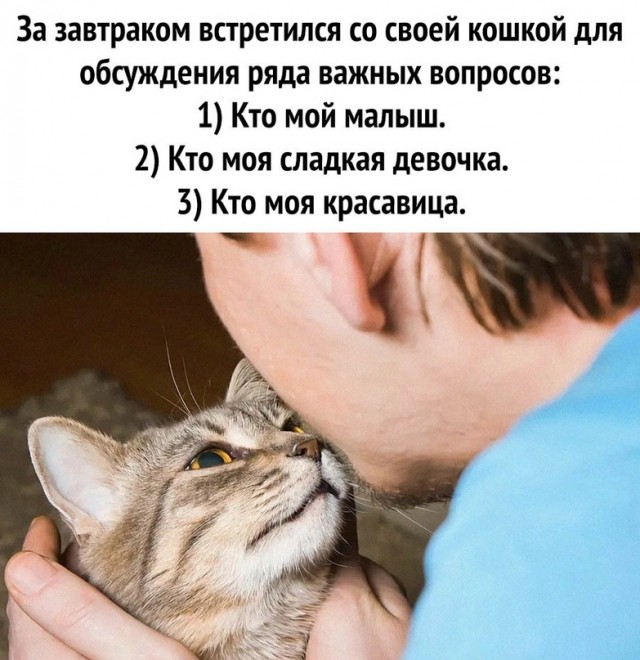 Картинки и мемы, всем хороших выходных