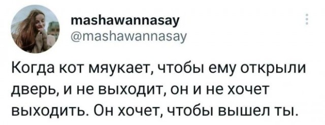 Картинки и мемы для настроения - 137