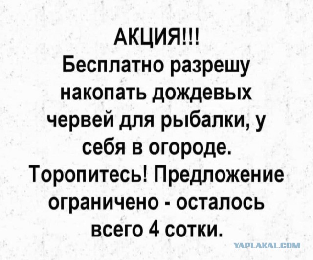 Девушки из провинции, которые заманивают посадить им картошку и огурцы