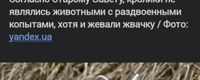Почему на Руси употребление в пищу мяса кролика считалось большим грехом