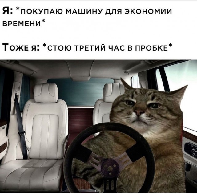 Нуштош 06.07.2023