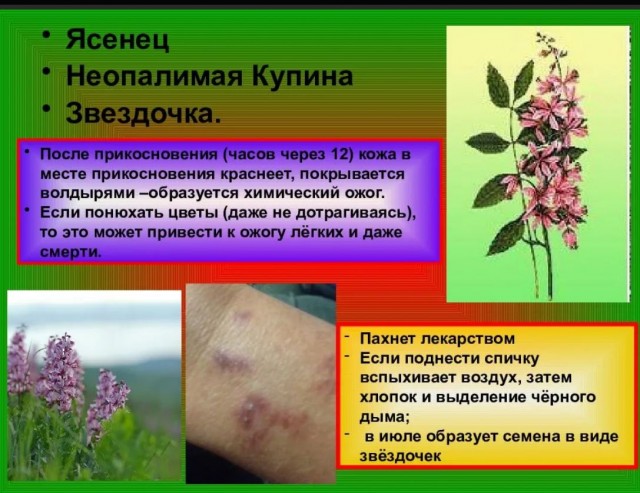 Рязань - Сасово из кабины машиниста