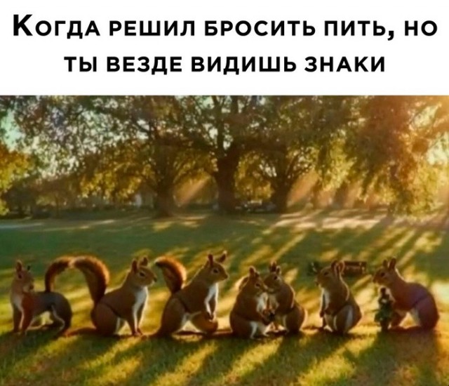 Немного картинок и прочей хреноты Vol. 25