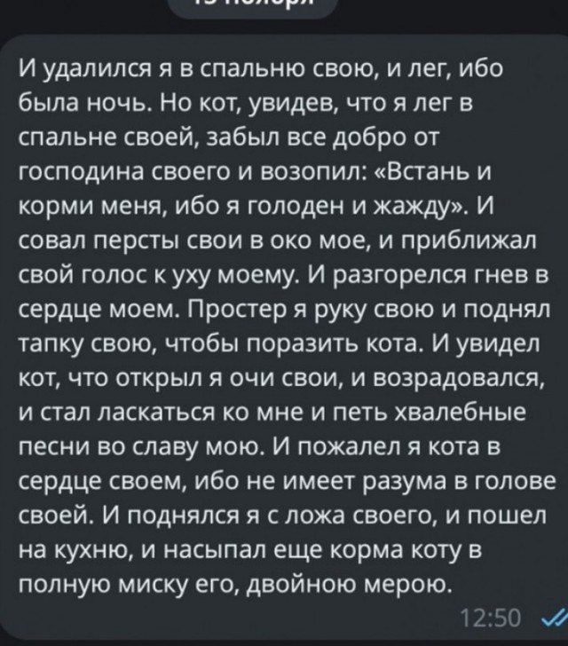 Весёлый полтишок 19.11.23
