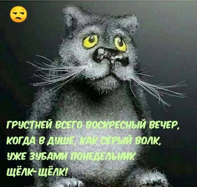 Химия и жизнь