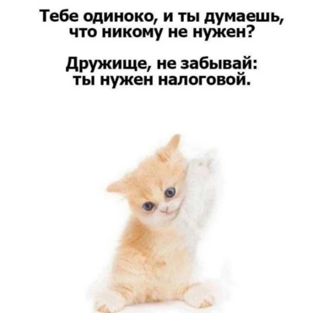 Приколы с налетом деградации в пятницу