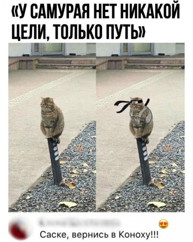 На чтоб надеются бабы после 30?