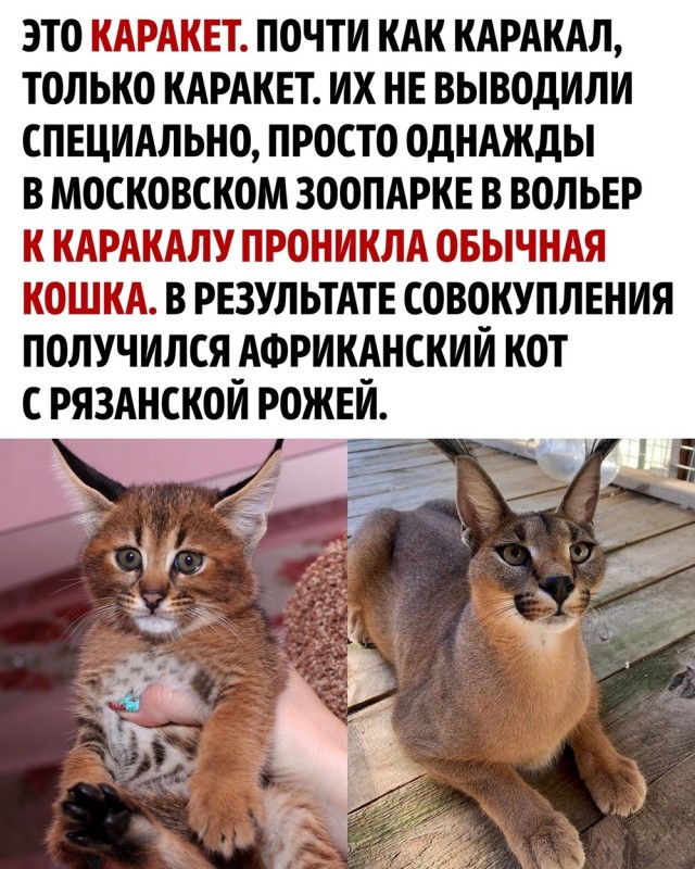 Уважаемые жильцы!