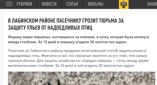В Краснодарском крае пасечник натянул сетку, чтобы птицы не охотились на его пчел.