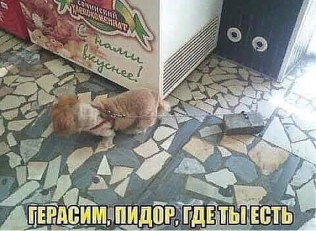 Ура, товарищи! Понедельник!