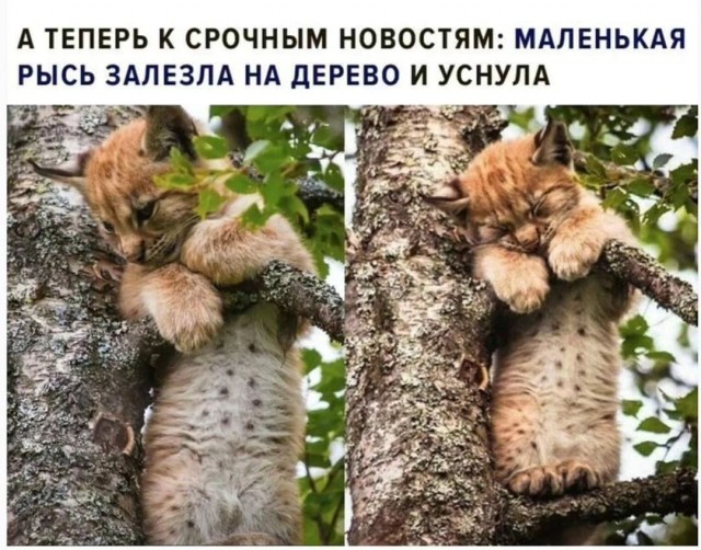 Завалялось тут случайно немного забавных картинок