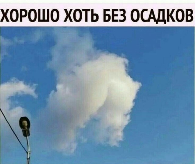 Так себе картинки 22.10.24