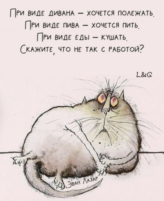 Прикольные и просто красивые картинки 22.11.2024