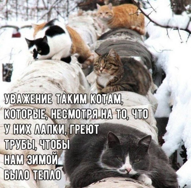 Картинков вам пятничных