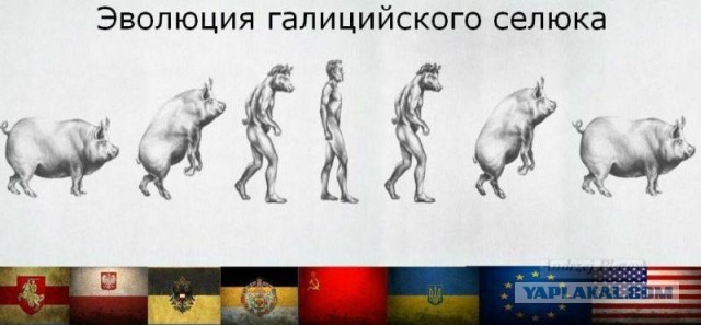Эволюция человека