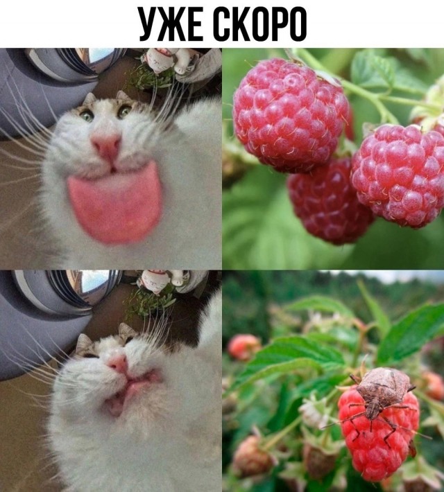 Так себе картинки 07.07.25