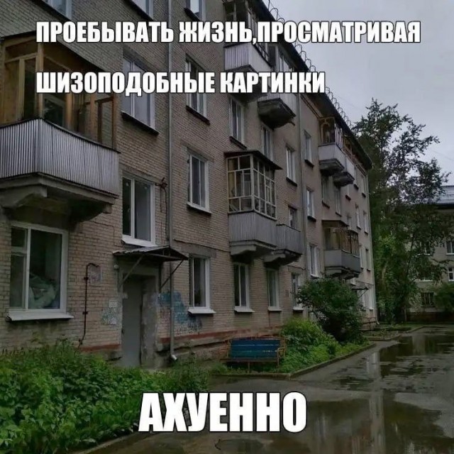 Картинки для деградации (разной степени свежести)