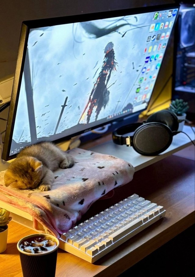 Одна девочка не любила молочную пенку...