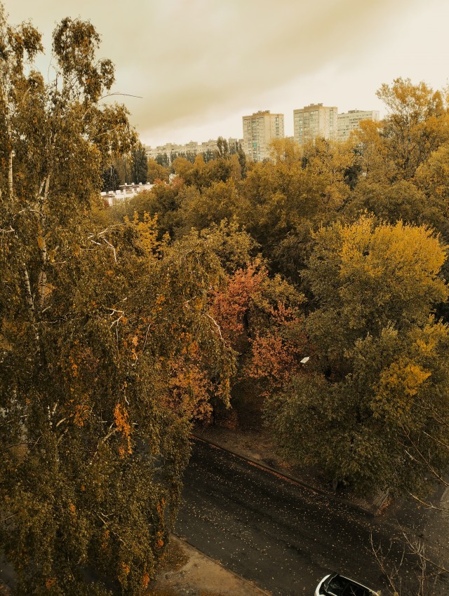 В гробу карманов нет