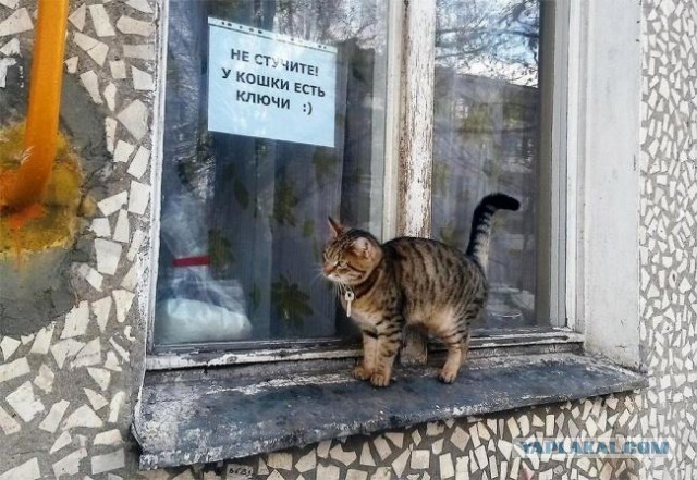 Забавные и не очень скромные картинки - 12