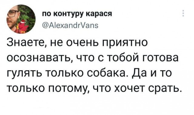 Картинки для деградации 79 (разной степени свежести)