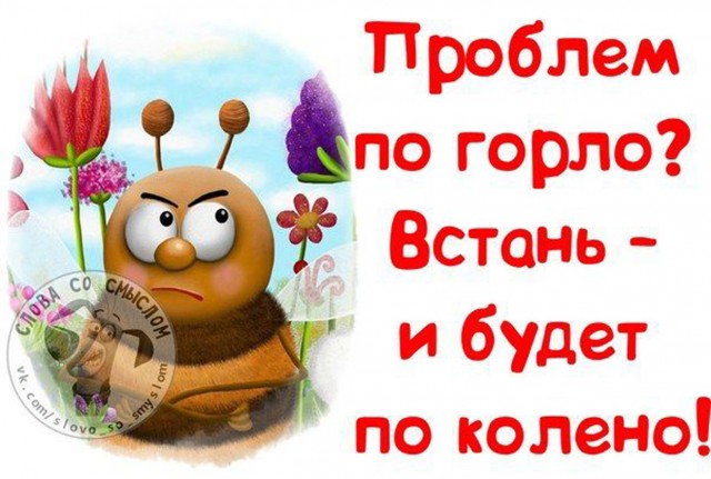 Прикольные и просто красивые картинки 14.11.2025