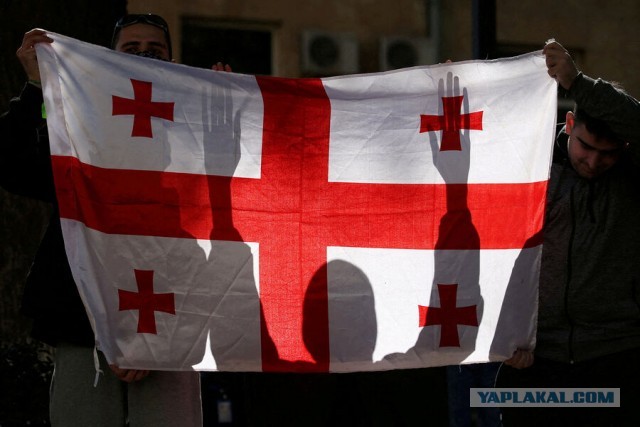 Грузия будет судиться с журналистами из-за статьи об использовании химвеществ против протестующих