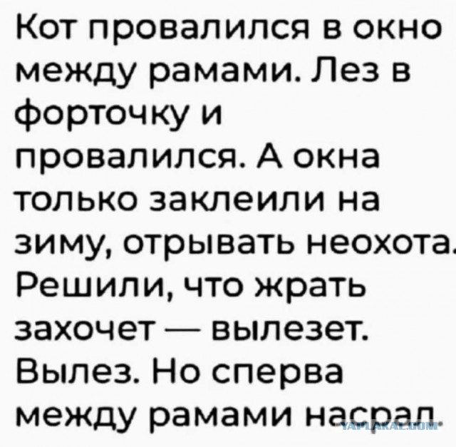 Так себе картинки 06.12.25