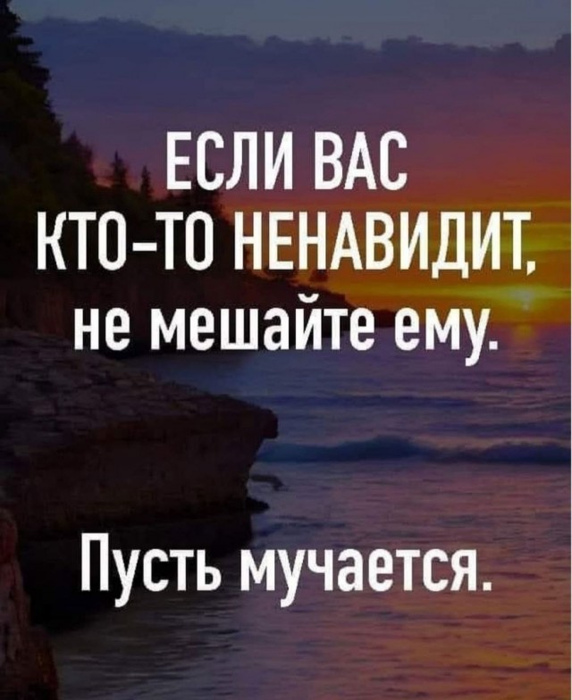 Веселые картинки в маленькую пятницу (17.12)