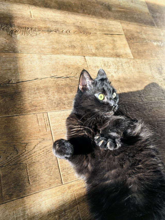 Чот накОтило.