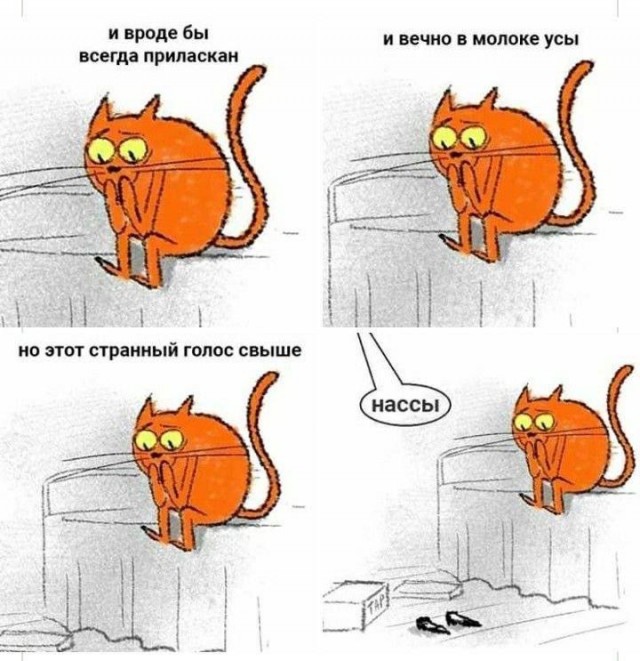Картинки для деградации 134 (разной степени свежести)