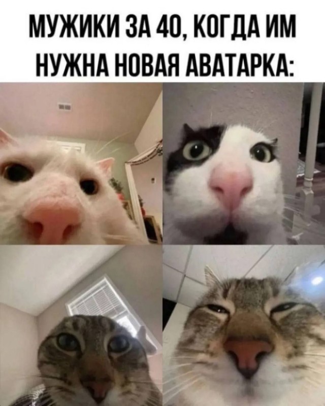 Картинки для деградации 135 (разной степени свежести)