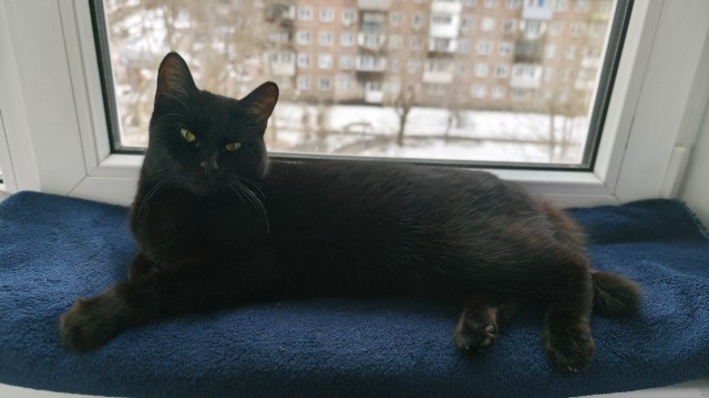 Черненький