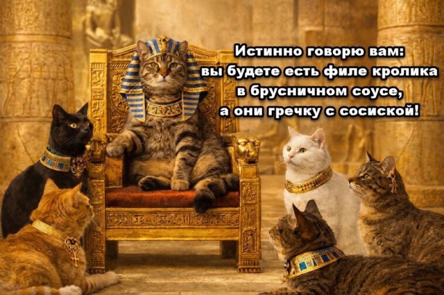 Вторника картинки