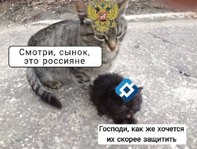 Среды картинки