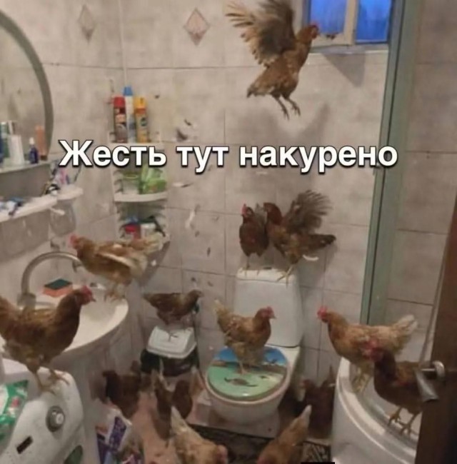 Картинки для деградации 306 (разной степени свежести)