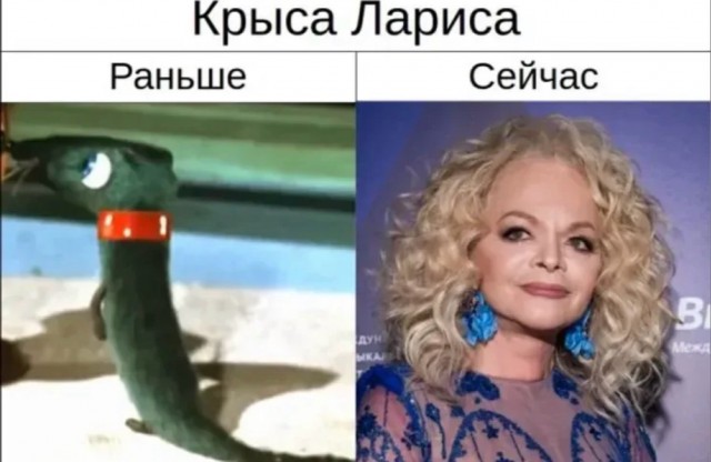 Юристы Долиной изучают мемы про неё