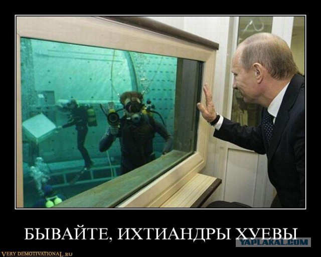 Четыре боевых корабля НАТО в Черном Море