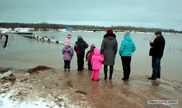 Мосты тонут?