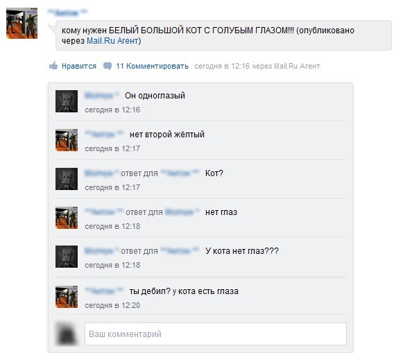 У кота нет глаз