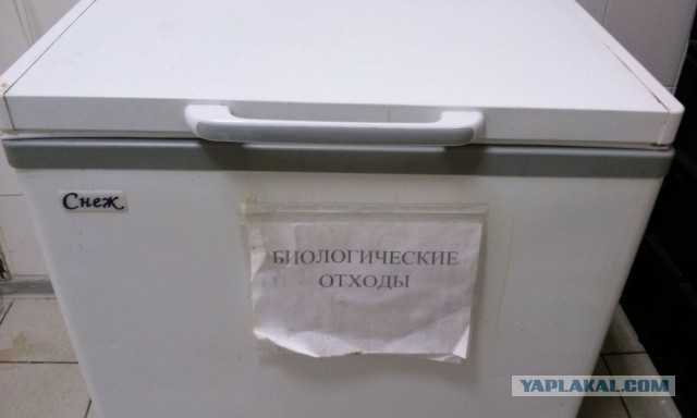 Ответ на очередной стих Дмитрук