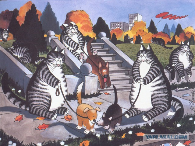 Забавные рисованные кошки
