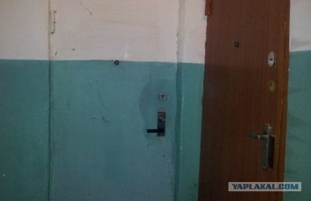 Для начинающих медвежатников