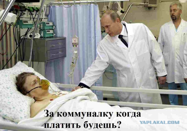 Мысли еврея о России. российских политиках и...