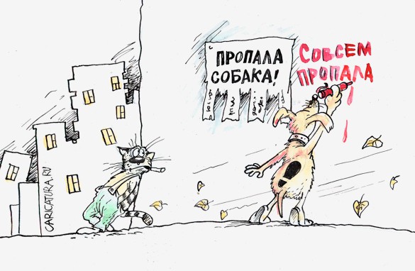 Найдись студент!