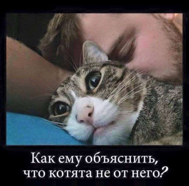 Подборка прикольных фото на пятницу