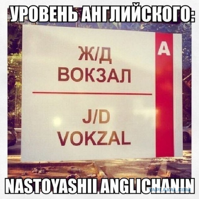 Жена устроилась в школу учителем английского