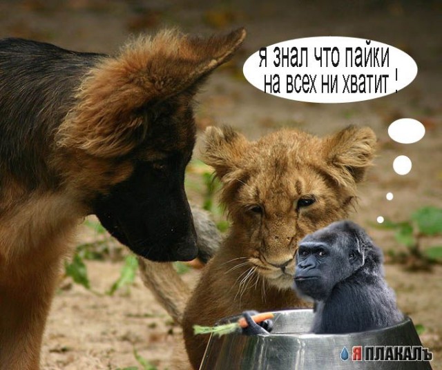 Уже да :) Ужо пятнецца...