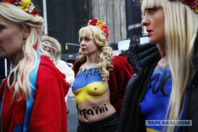 Дебилам нет  покоя....