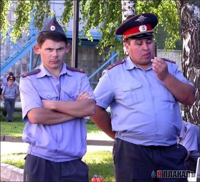 Большая лента анекдотов